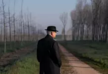Паоло Соррентино: гимн красоте, рожденной из пепла Тони Сервилло в фильме «Грация»