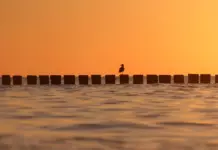 Чёрное море не греет: отели дешевеют, а туристы ждут погоды Закат на море